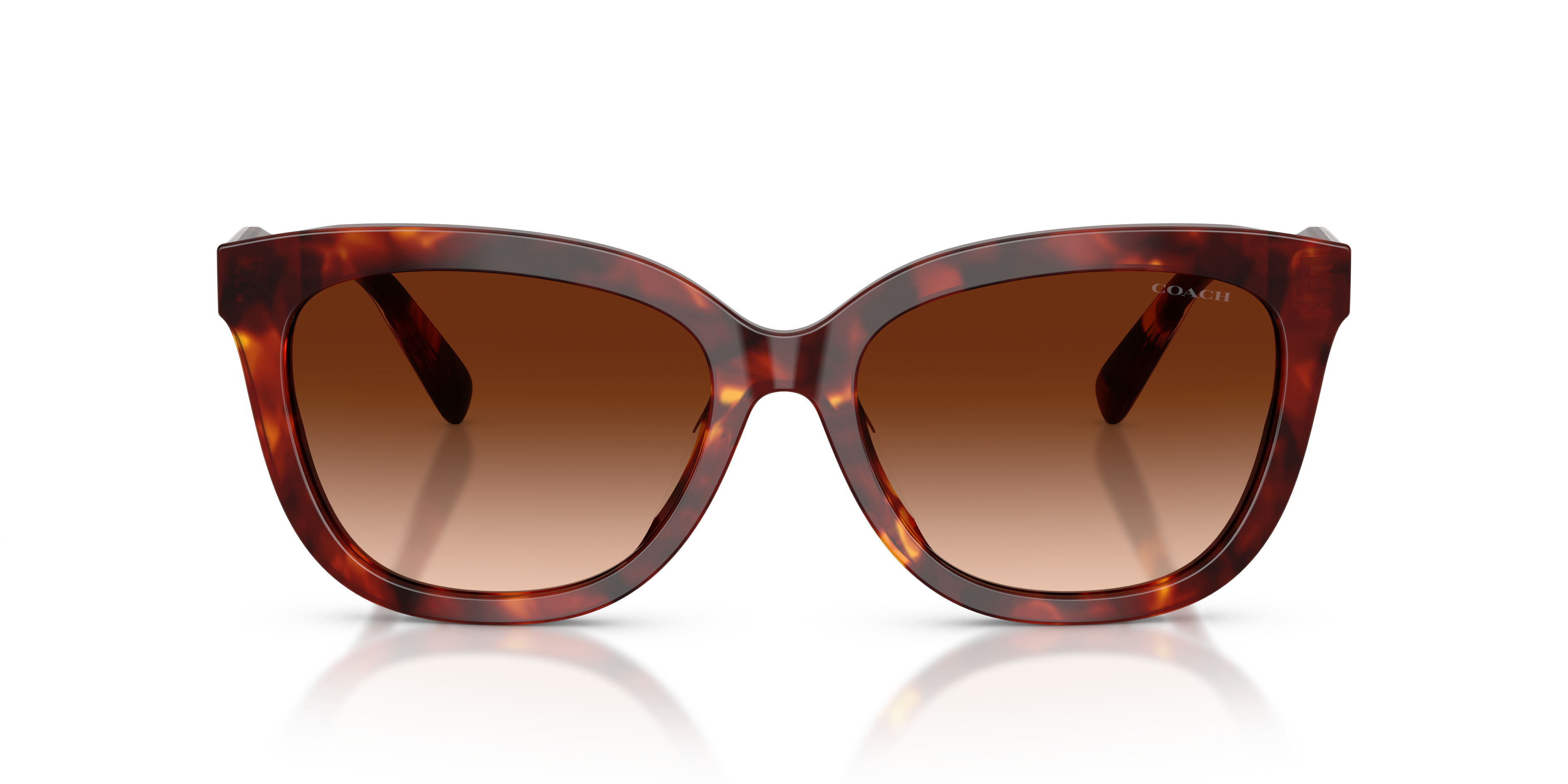 Coach HC8453U 593874 Cdp53 